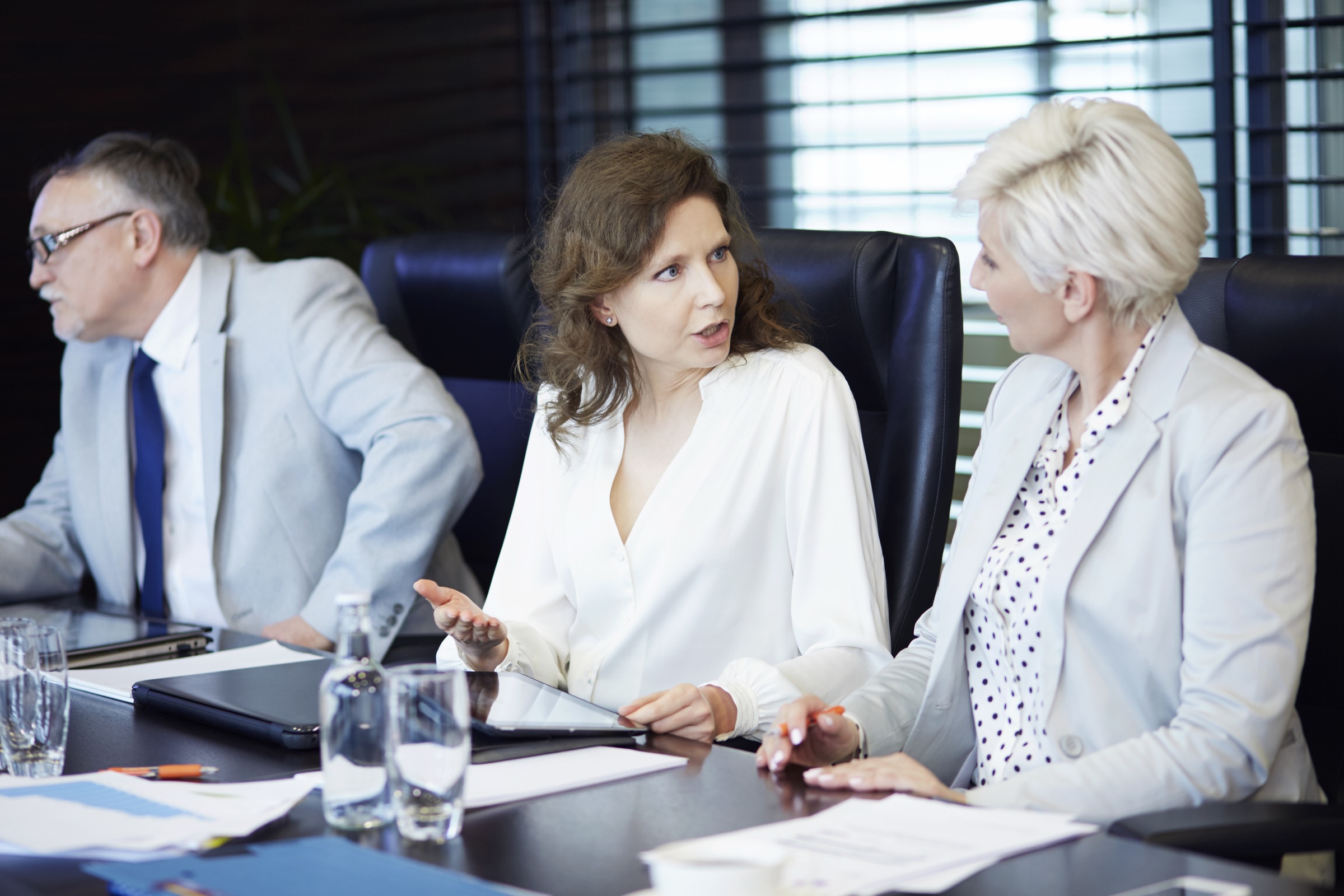 Consultants meeting with a client